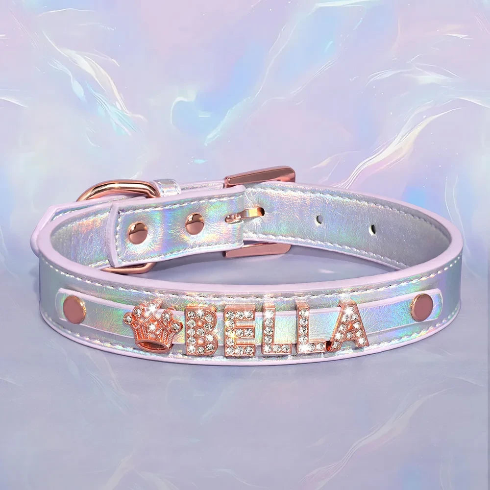 Personalized Leather Dog Collar with Name Charms