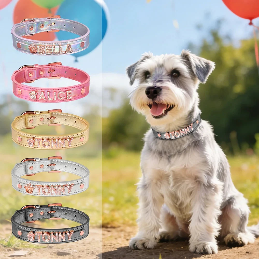 Personalized Leather Dog Collar with Name Charms