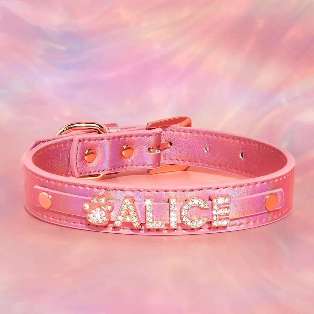 Personalized Leather Dog Collar with Name Charms