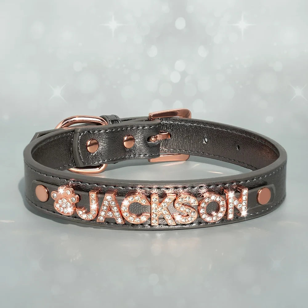 Personalized Leather Dog Collar with Name Charms
