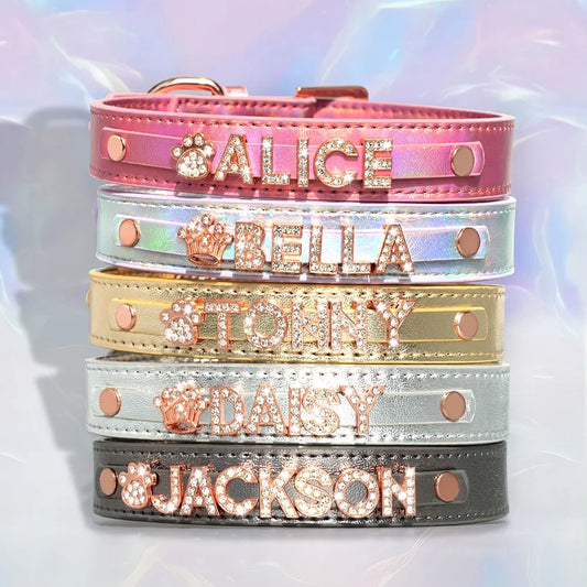 Personalized Leather Dog Collar with Name Charms