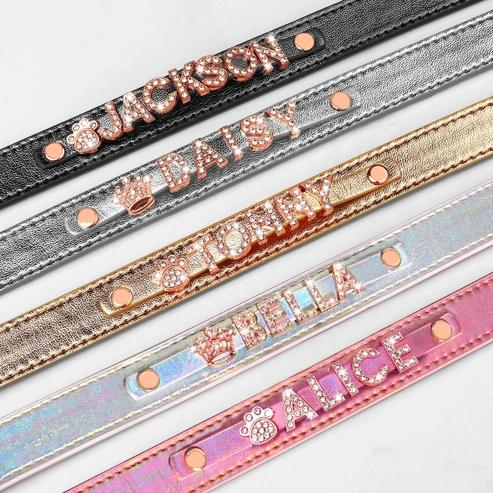 Personalized Leather Dog Collar with Name Charms