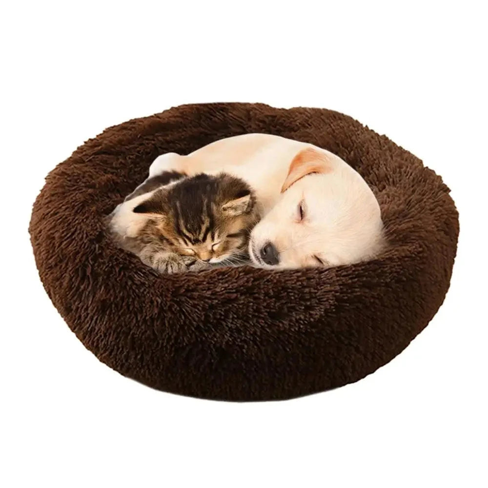 Plush Donut Calming Dog Bed